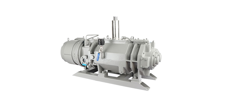 Dry screw vacuum pump
